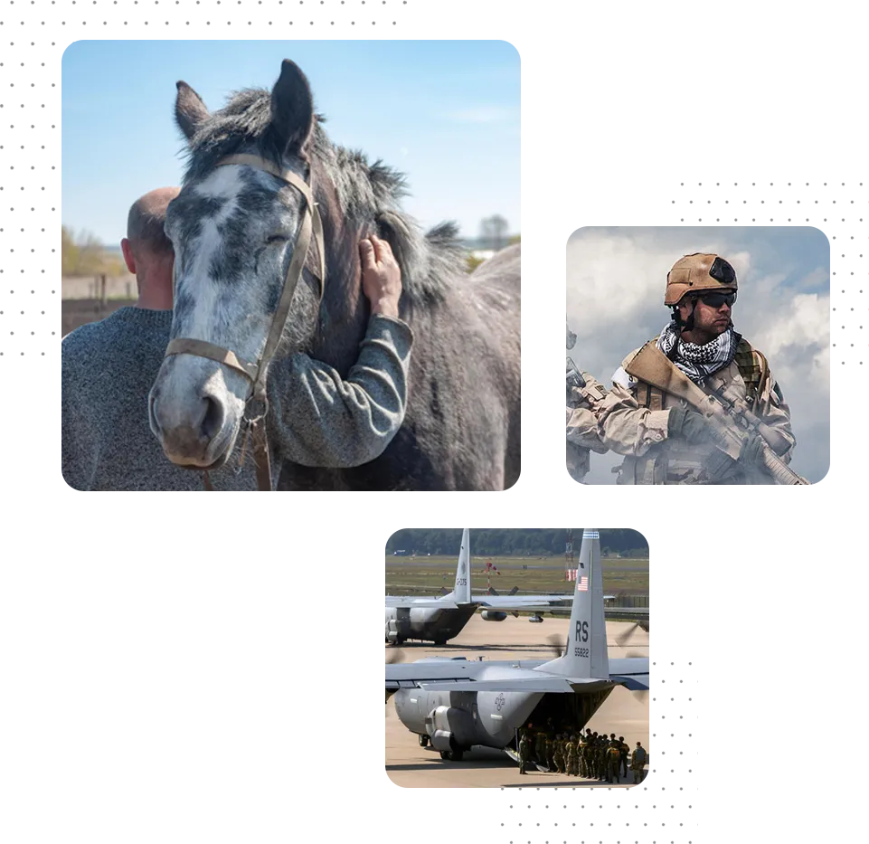 collage of man hugging a horse, military man in gear walking through smoke, and military personnel boarding a plane