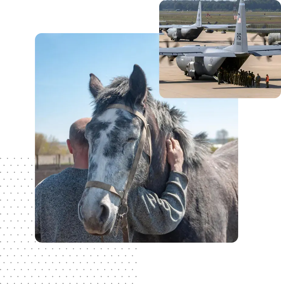 collage of US service members boarding a plane and a man hugging a horse