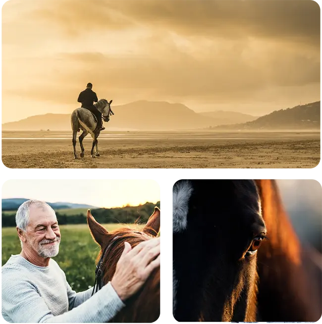 collage of man riding a horse, man petting a horse and a close-up of a horse