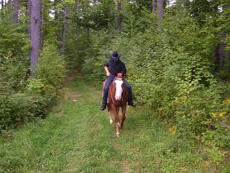 rugged man riding his trusted steed through the forest